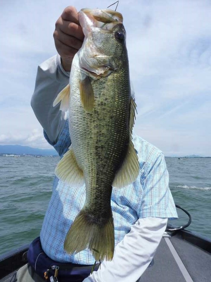 truth ブログ写真 2017/08/20