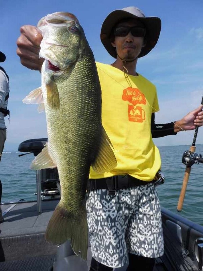 truth ブログ写真 2017/08/21