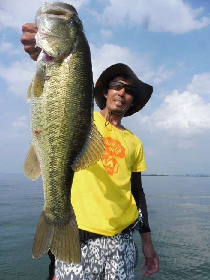 truth ブログ写真 2017/08/21