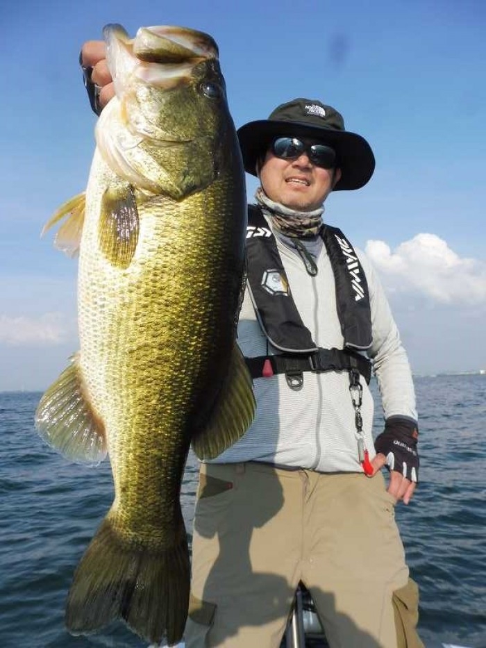 truth ブログ写真 2017/08/21