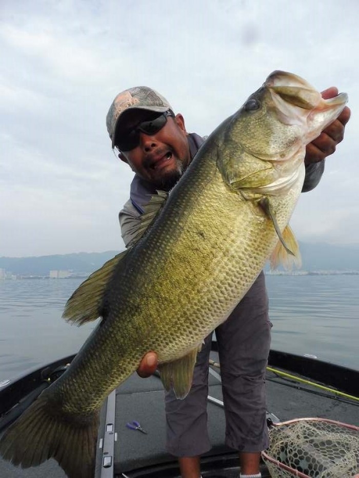 truth  ブログ写真 2017/08/22