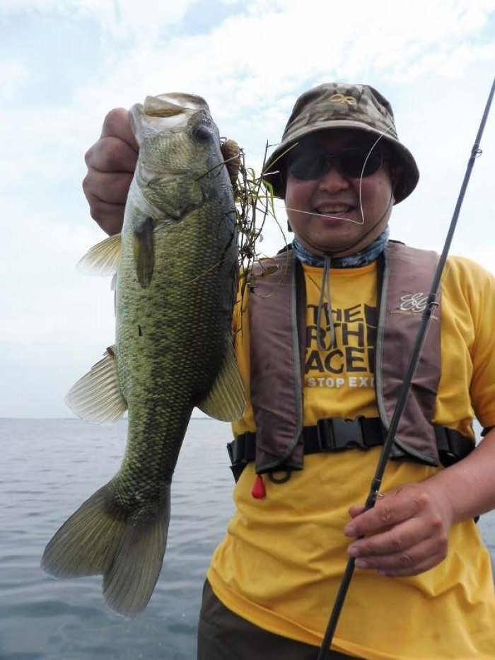 truth  ブログ写真 2017/08/22