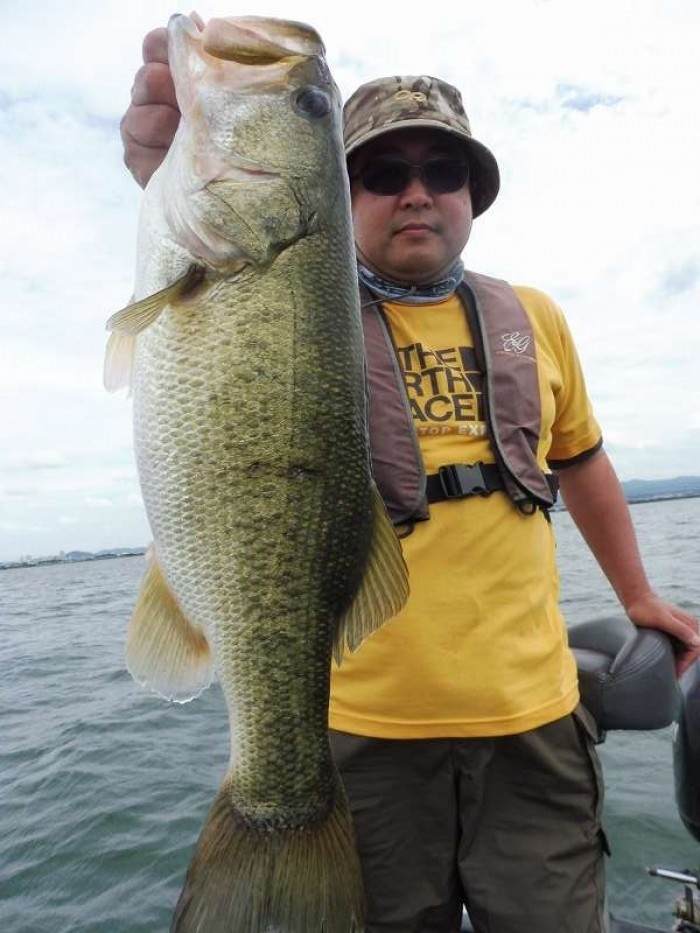 truth  ブログ写真 2017/08/22