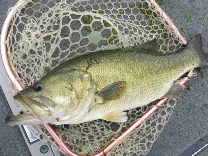 truth  ブログ写真 2017/08/22