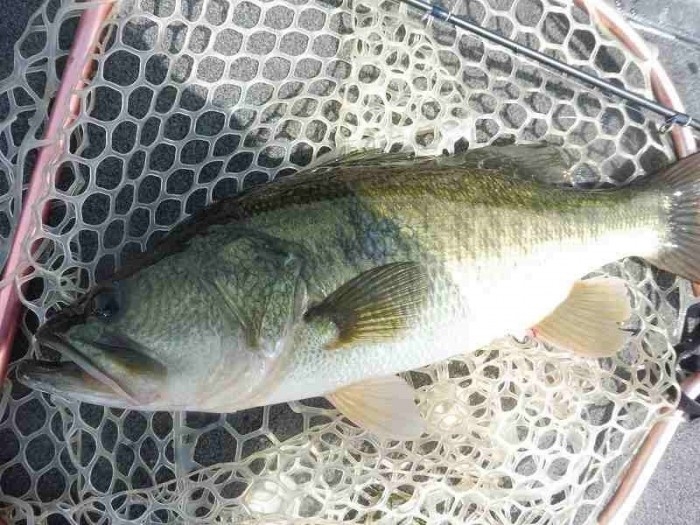 truth  ブログ写真 2017/08/23