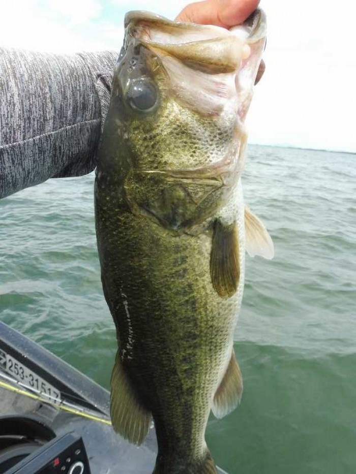 truth  ブログ写真 2017/08/23