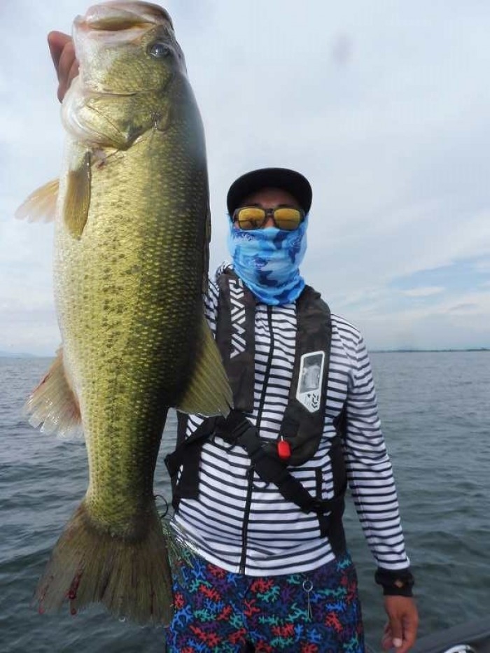 truth  ブログ写真 2017/08/23