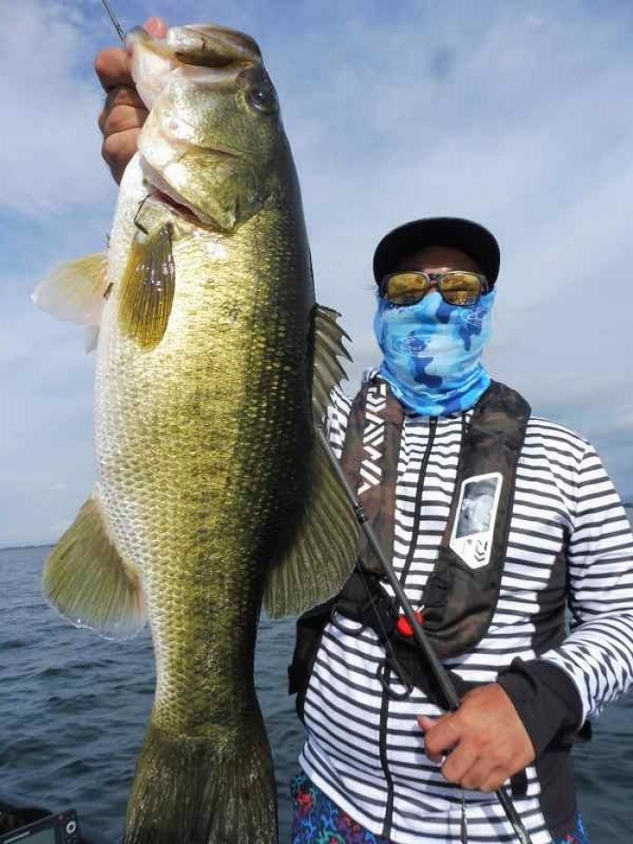 truth  ブログ写真 2017/08/23