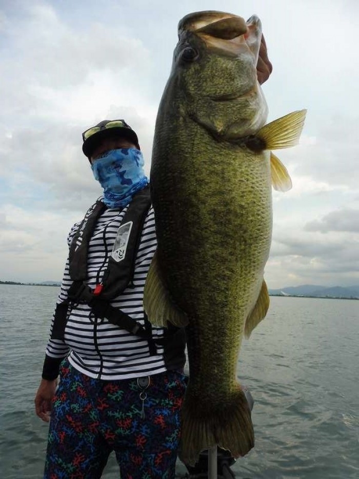 truth  ブログ写真 2017/08/23