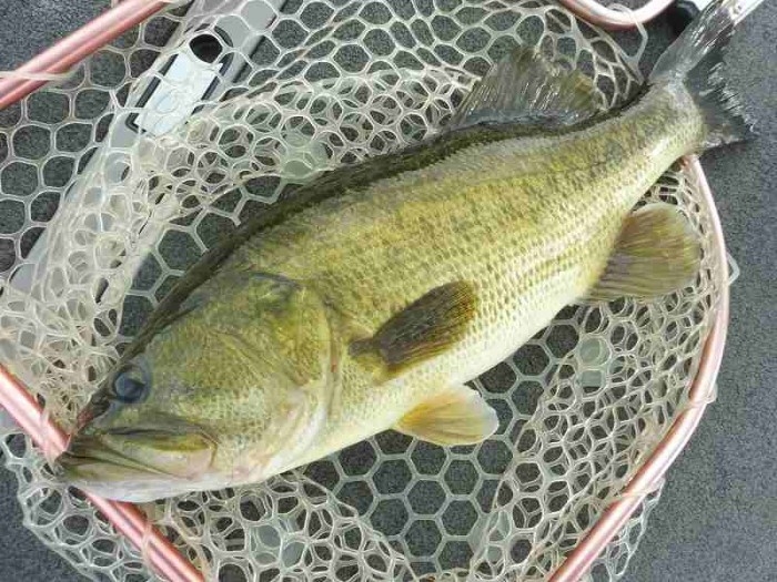 truth  ブログ写真 2017/08/25