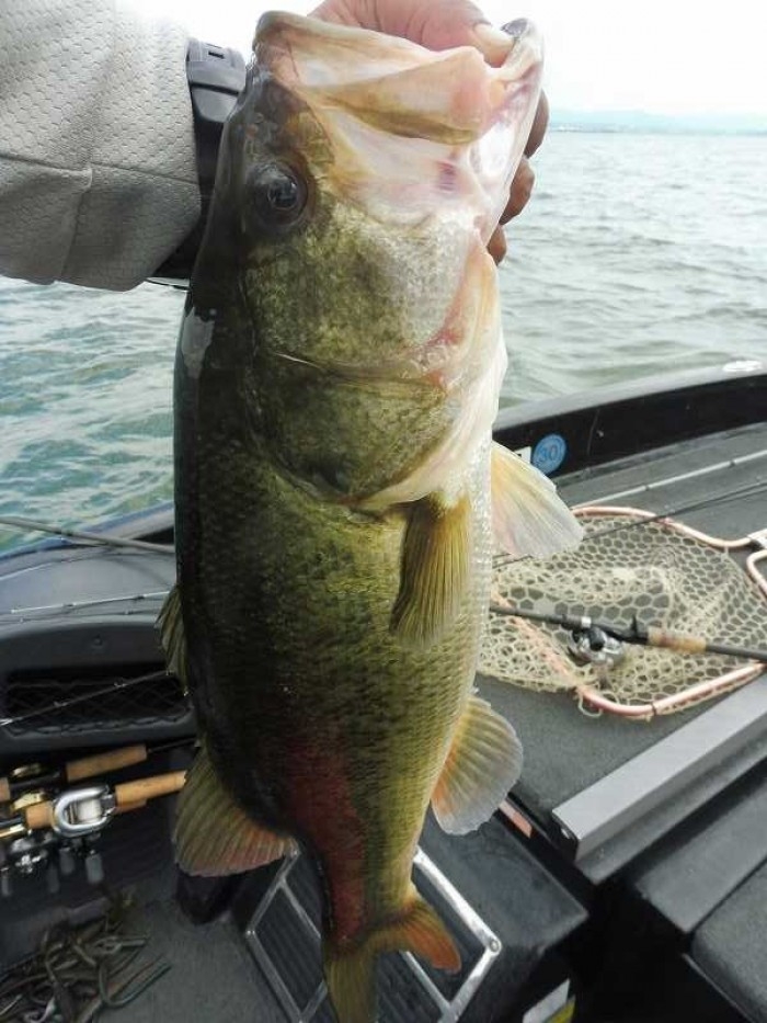 truth  ブログ写真 2017/08/25