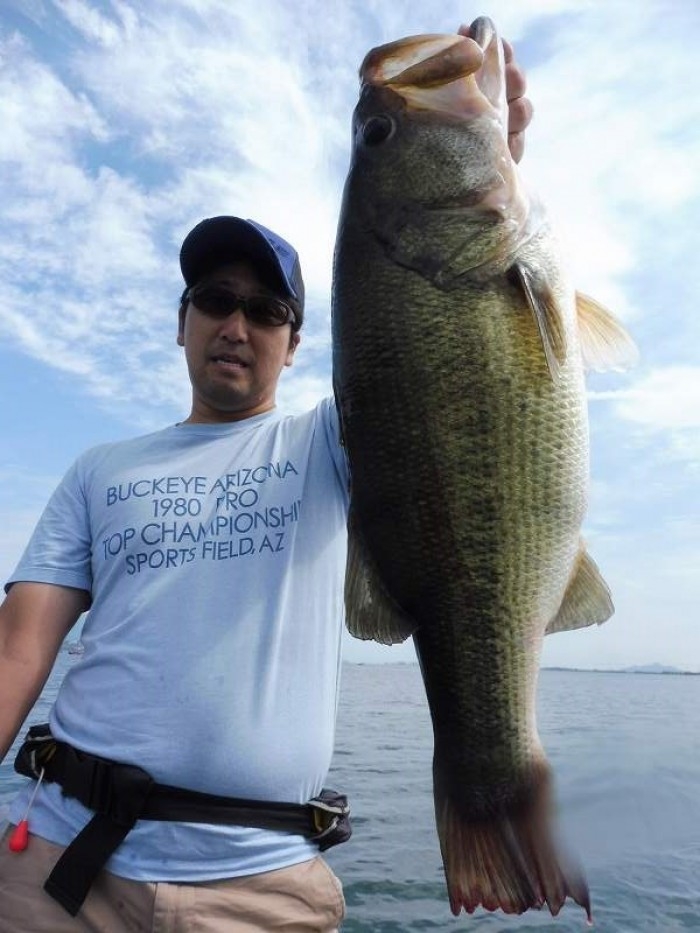 truth  ブログ写真 2017/08/26