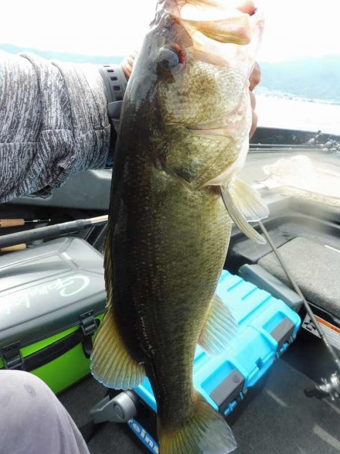 truth  ブログ写真 2017/08/26