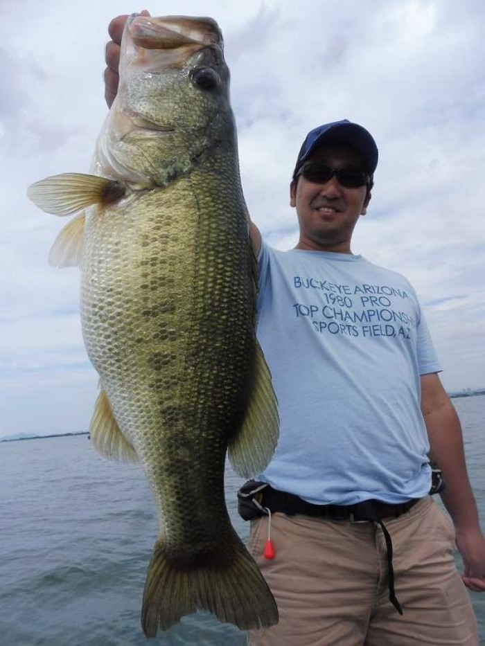 truth  ブログ写真 2017/08/26