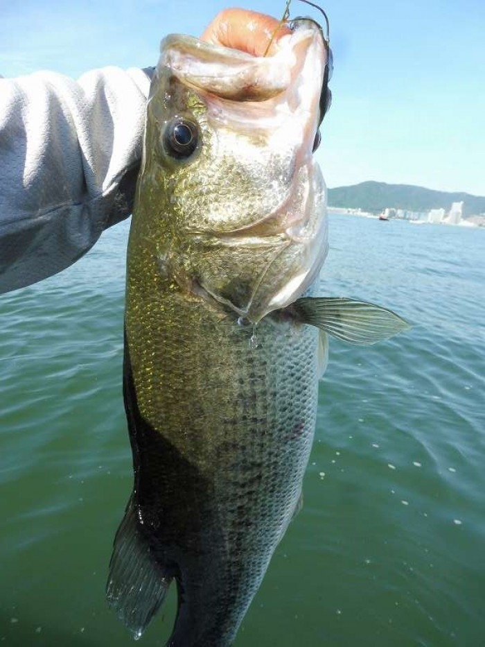 truth  ブログ写真 2017/08/27