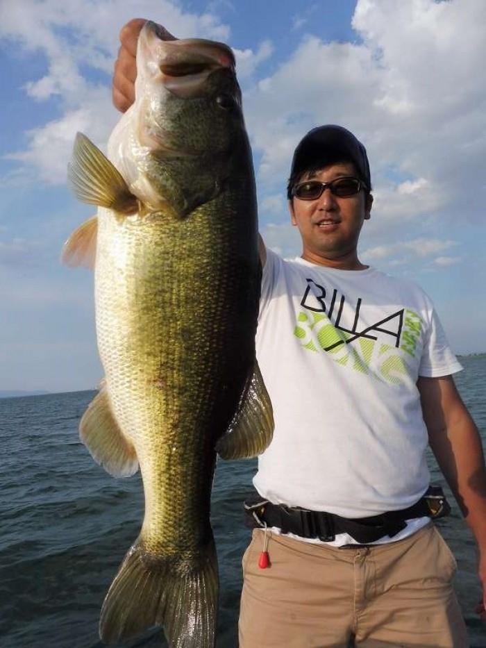 truth  ブログ写真 2017/08/27