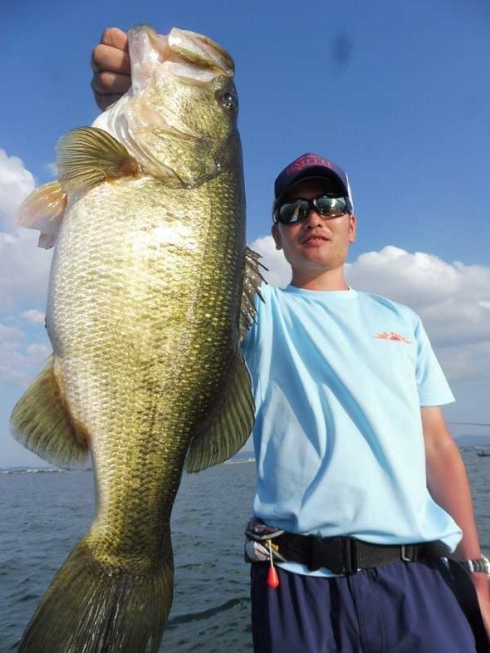 truth  ブログ写真 2017/08/27