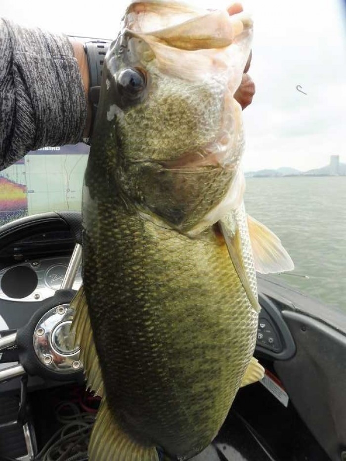 truth  ブログ写真 2017/08/28