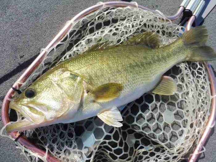 truth  ブログ写真 2017/09/01