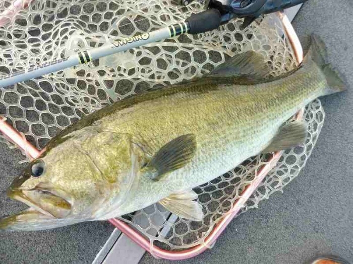 truth  ブログ写真 2017/09/01