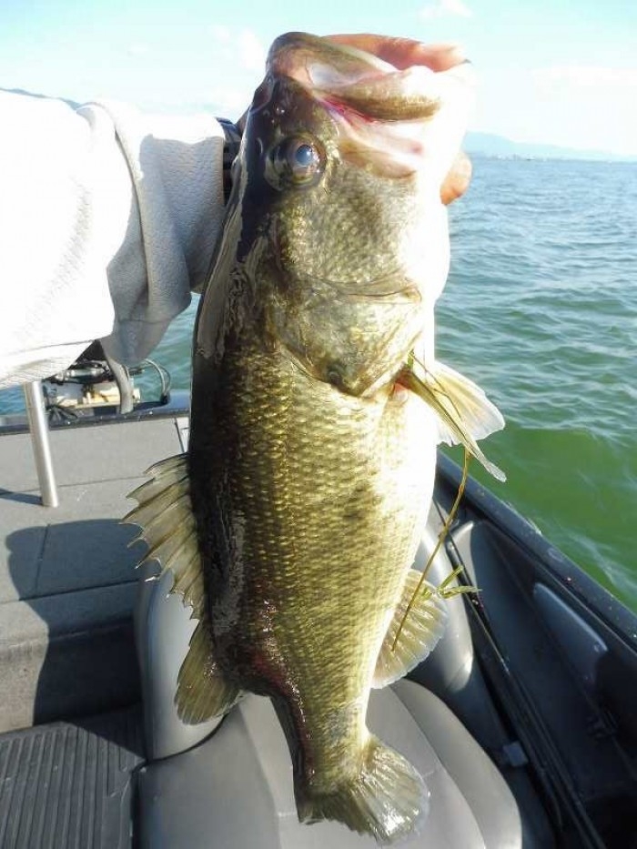 truth  ブログ写真 2017/09/02