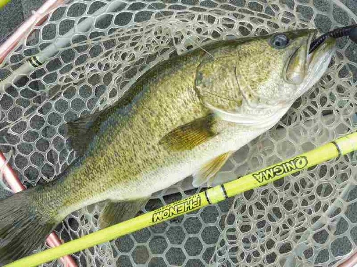 truth  ブログ写真 2017/09/02