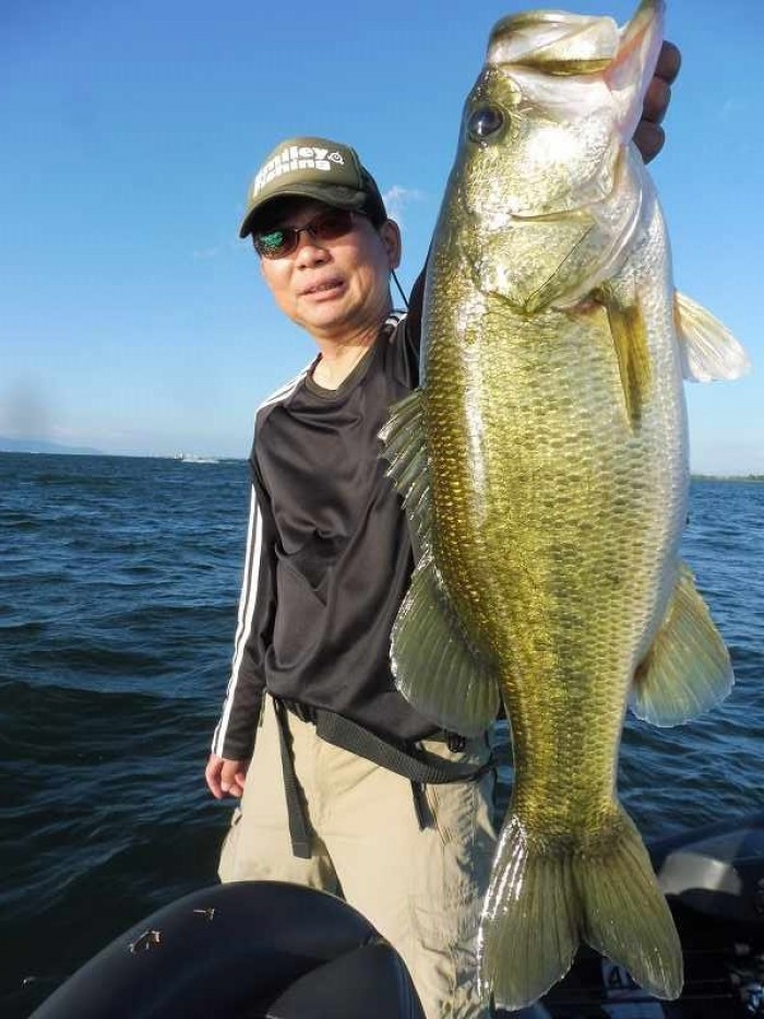 truth  ブログ写真 2017/09/02