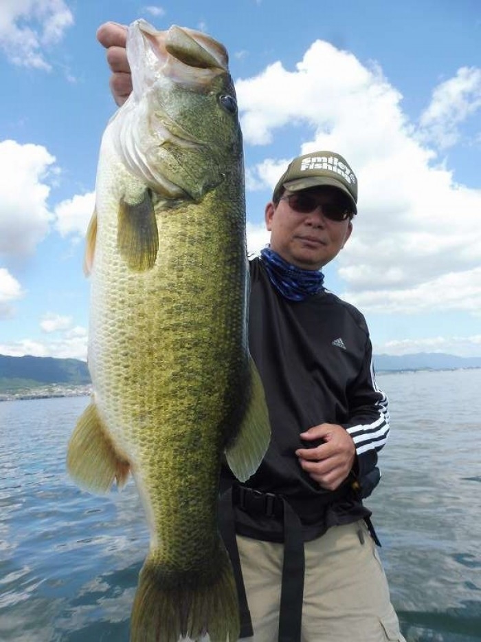 truth  ブログ写真 2017/09/02