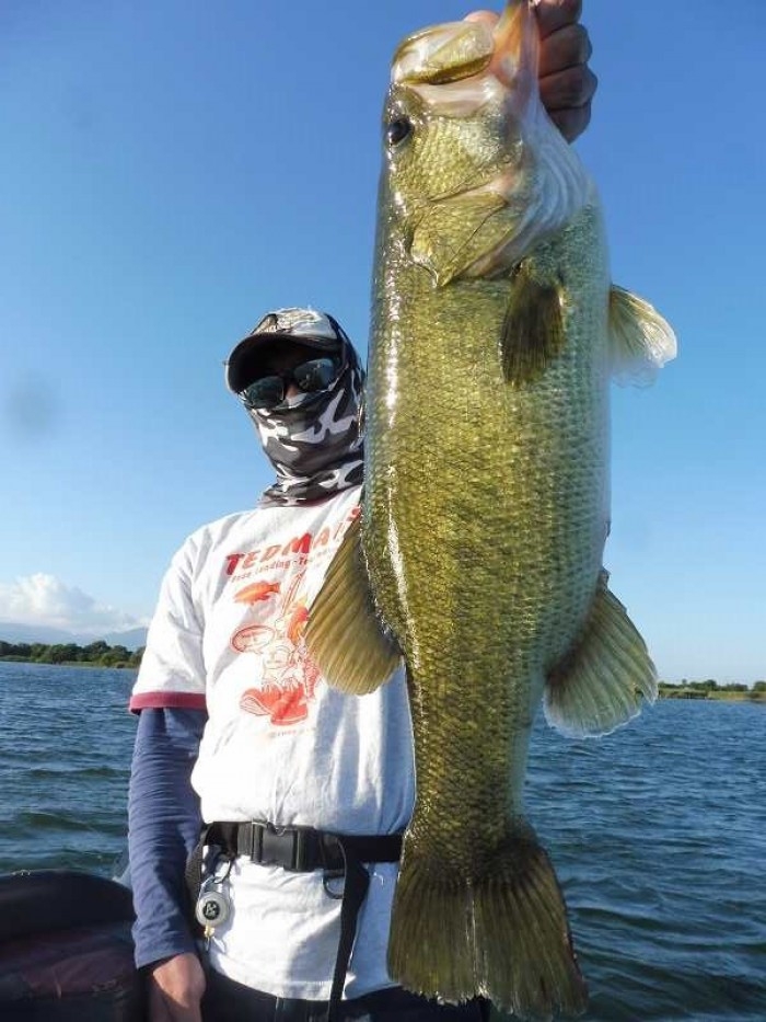 truth  ブログ写真 2017/09/03