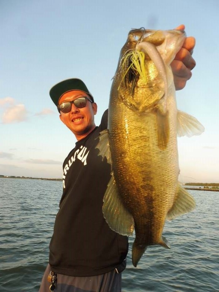 truth  ブログ写真 2017/09/18