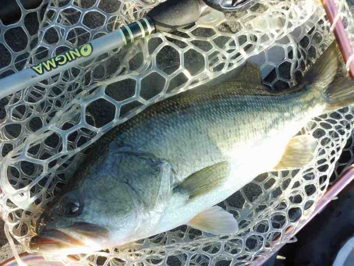 truth  ブログ写真 2017/09/18