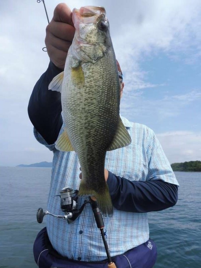 truth  ブログ写真 2017/09/23