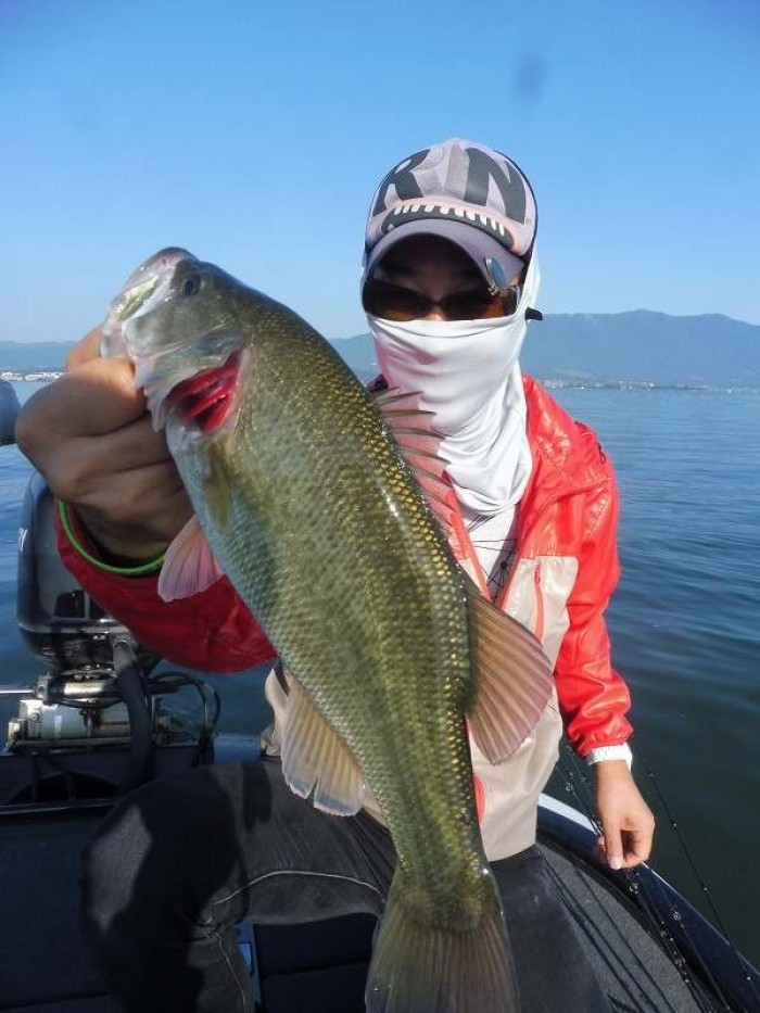 truth  ブログ写真 2017/09/24