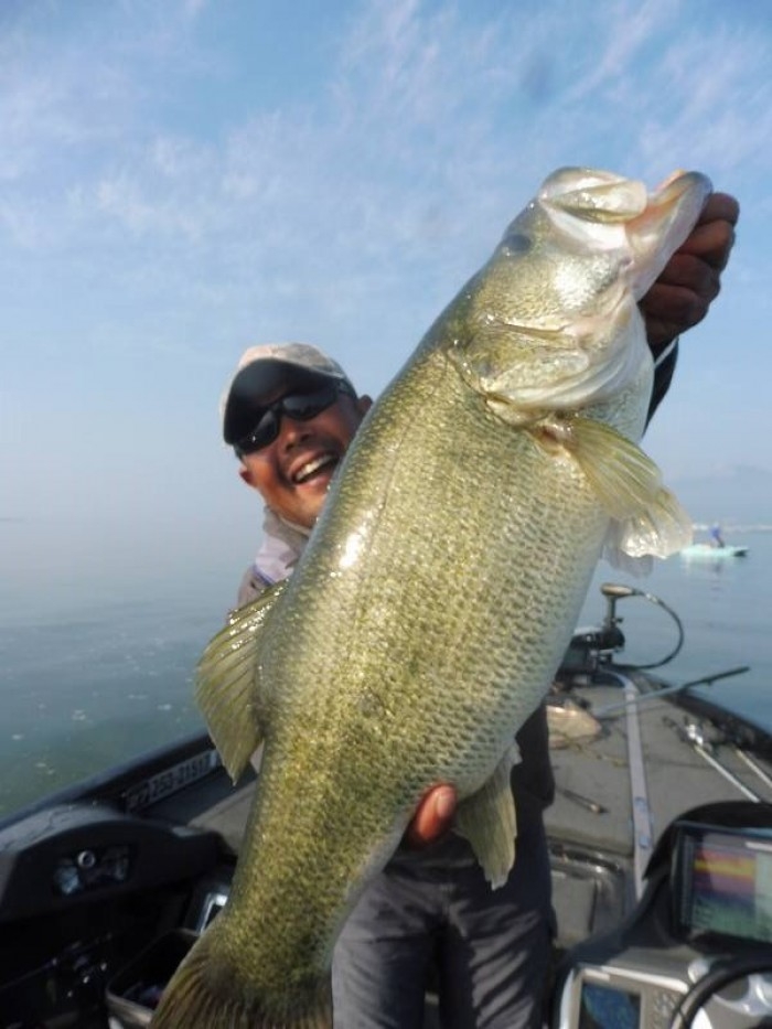 truth  ブログ写真 2017/09/26