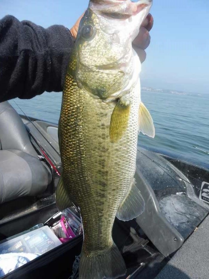 truth  ブログ写真 2017/09/26