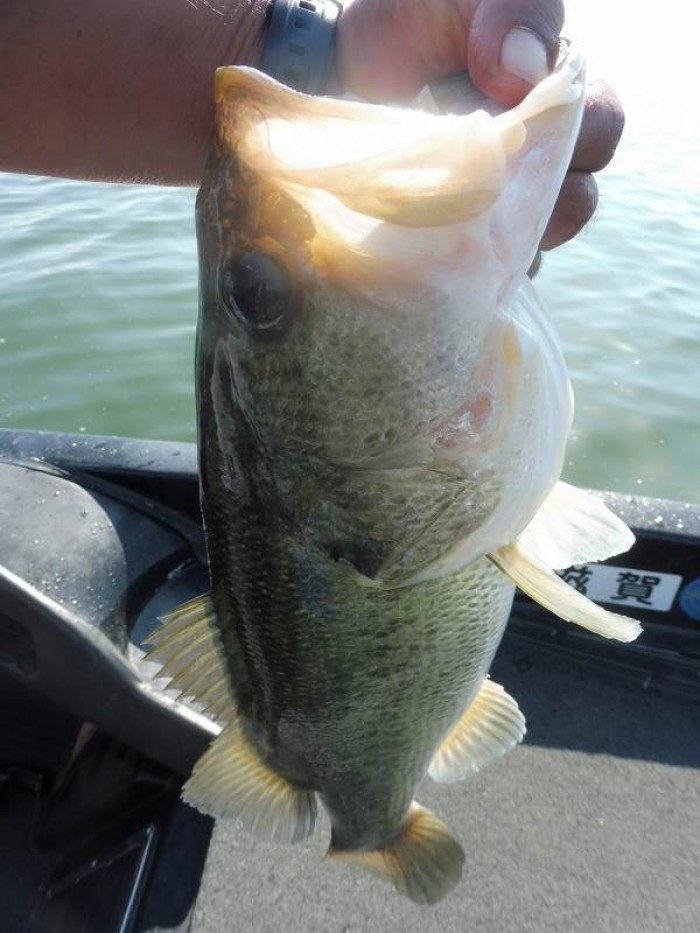 truth  ブログ写真 2017/09/26