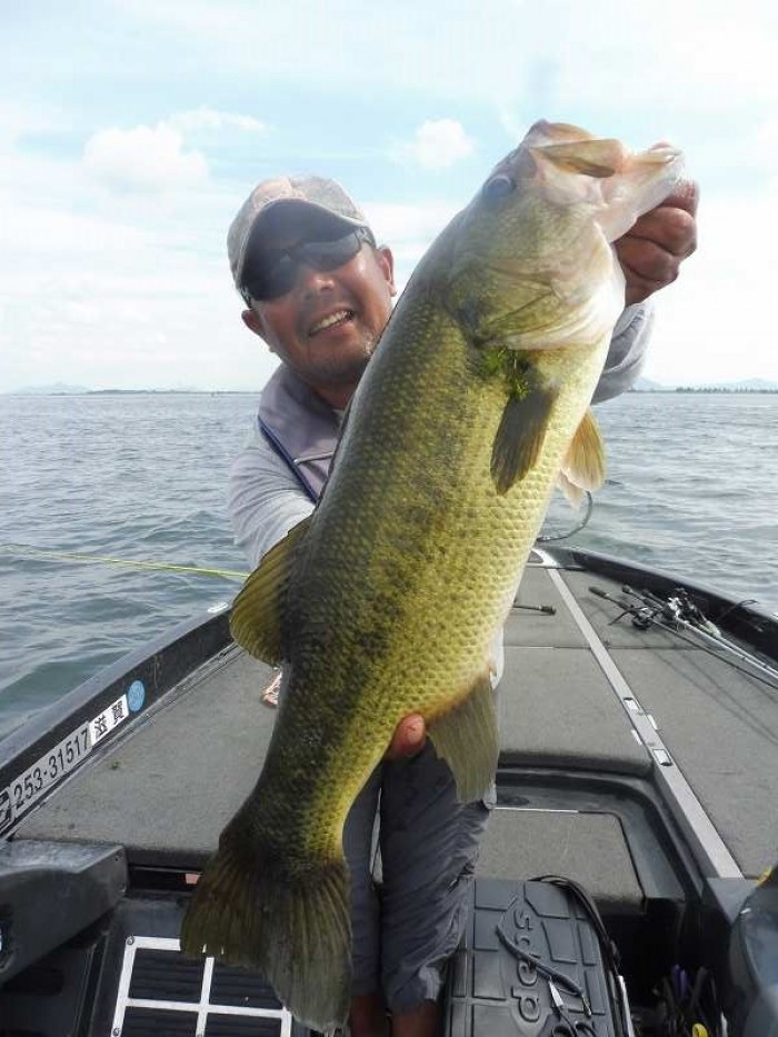 truth  ブログ写真 2017/09/27