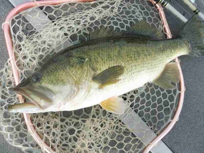 truth  ブログ写真 2017/09/27