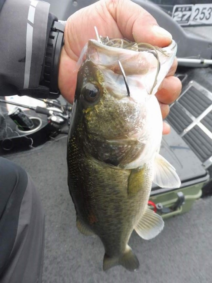 truth  ブログ写真 2017/09/27