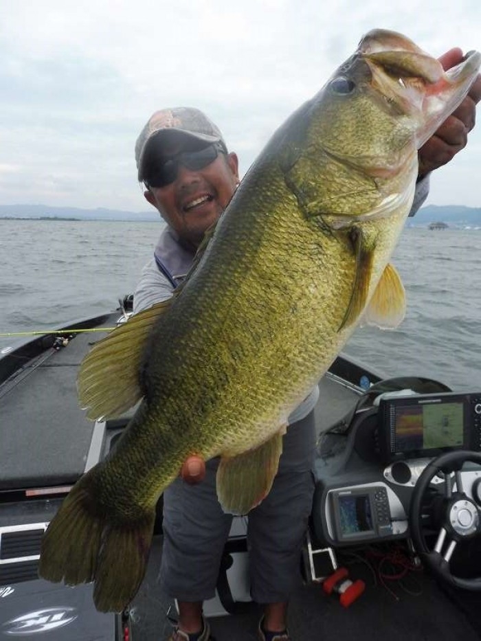 truth  ブログ写真 2017/09/27