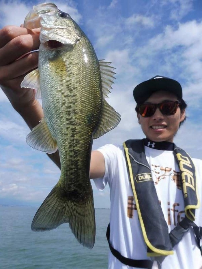 truth  ブログ写真 2017/10/09