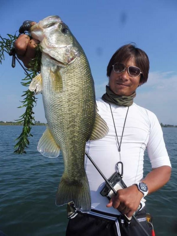 truth  ブログ写真 2017/10/11