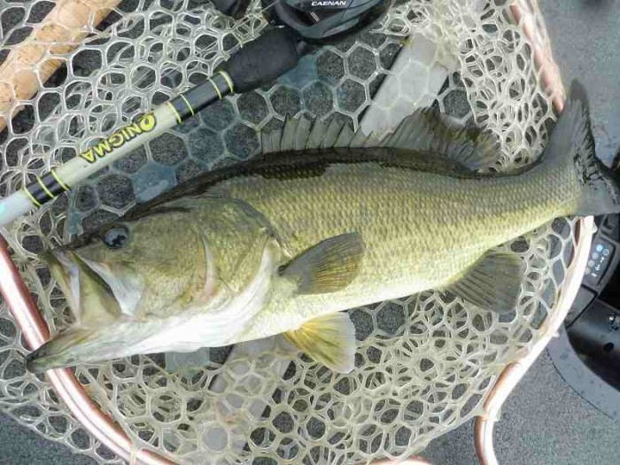 truth  ブログ写真 2017/10/12