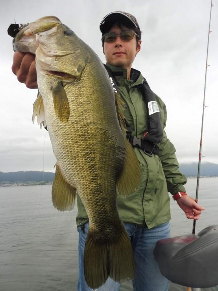 truth  ブログ写真 2017/10/12