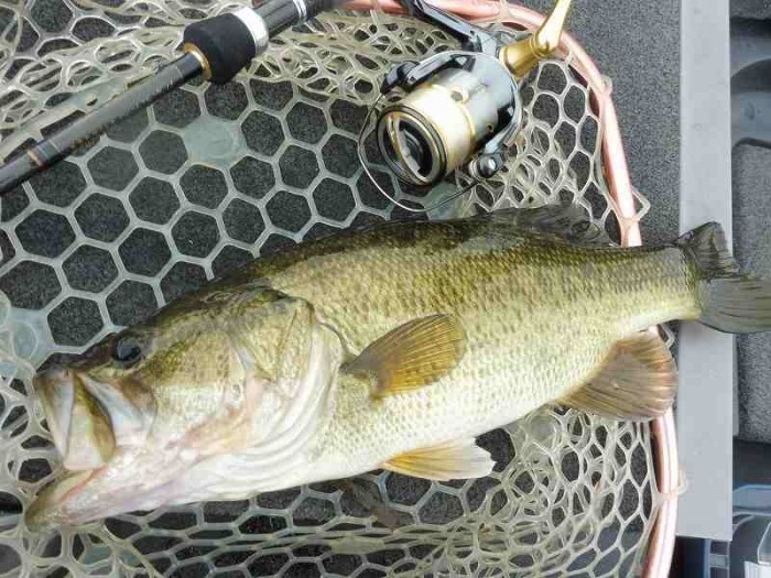 truth  ブログ写真 2017/10/14