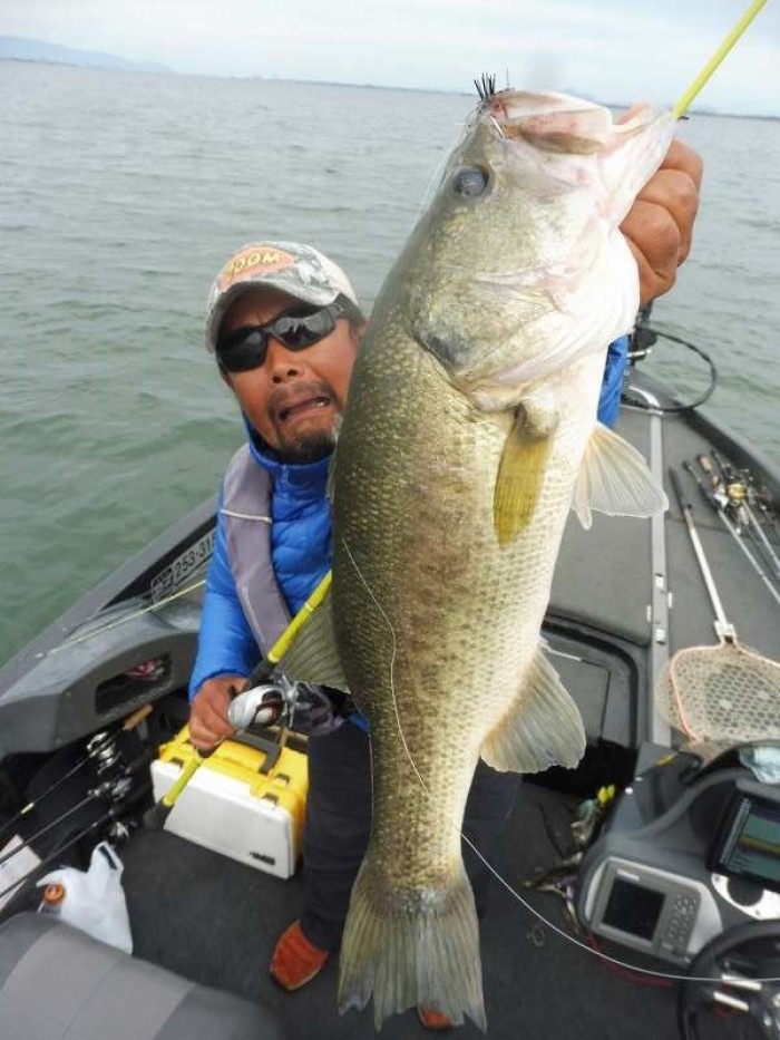 truth  ブログ写真 2017/10/18