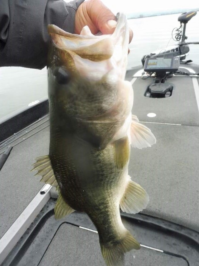 truth  ブログ写真 2017/10/20