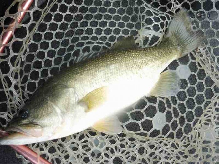 truth  ブログ写真 2017/10/20