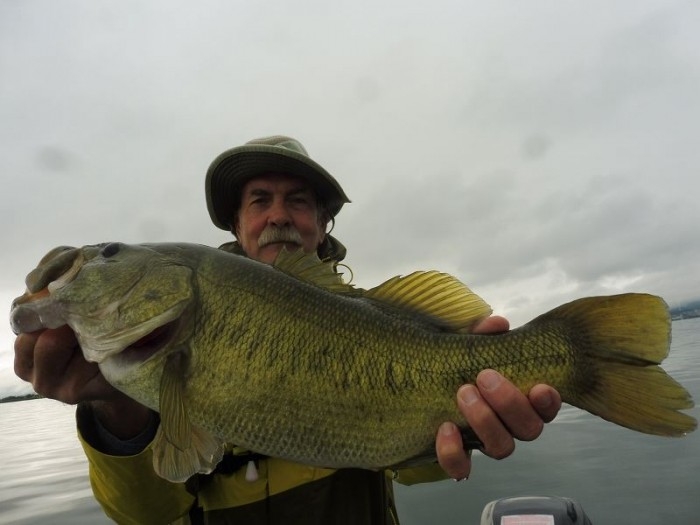 truth  ブログ写真 2017/10/20