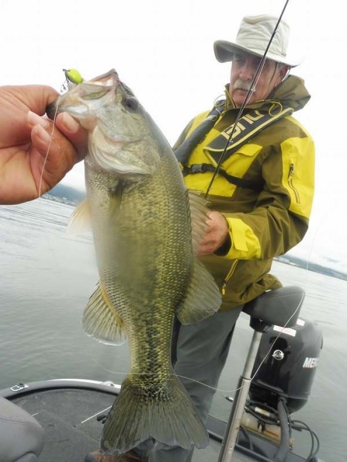 truth  ブログ写真 2017/10/20